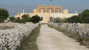 Portiamo in città il paesaggio di Frigole