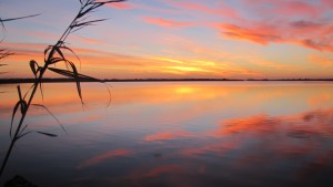 Il lago di Acquatina, una risorsa e un cruccio