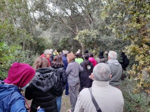 PASSEGGIATA TRA LI BOSCHI TE FRICULE